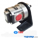 Đầu bơm bánh răng inox 316 Maruti MESX-125