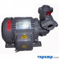Máy bơm bánh răng vỏ gang đầu giang NTP HCP225-1.25 26 1/3HP