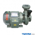 Máy bơm ly tâm dạng xoáy đầu gang HVP280-115 20