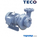Máy bơm nước Teco G37-50-2P-7.5HP
