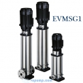 Máy bơm trục đứng Ebara EVMSG1 5F5/0.37 0.5HP