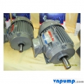 Motor chân đế Tatung