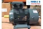 BẢNG GIÁ MOTOR ĐIỆN SGP 