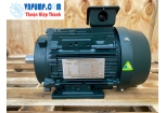 MOTOR ĐỘNG CƠ ĐIỆN TOSHIBA IE3